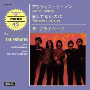 レア? ◇36年前◇レトロ◇ THE PRIVATES/ザ プライベーツ/延原
