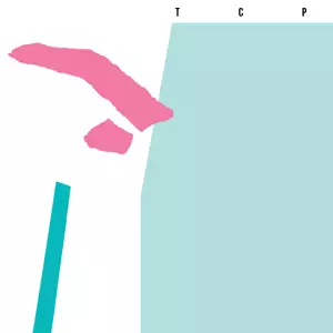 TCP(AKA TONY CAREY PROJECT) / TCP