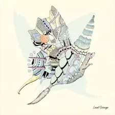 Serph / LEVEL ORANGE