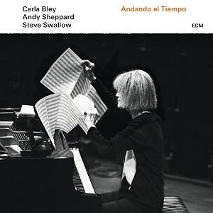 CARLA BLEY & ANDY SHEPPARD & STEVE SWALLOW / カーラ・ブレイ&アンディ・シェパード&スティーヴ・スワロウ / Andando El Tiempo(LP)