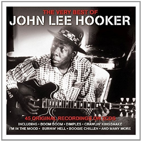 JOHN LEE HOOKER / ジョン・リー・フッカー / VERY BEST OF JOHN LEE HOOKER (2CD)