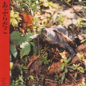 あぶらだこ　CD 釣盤　亀盤　穴盤　月盤　青盤　５枚セット　帯付きあり Amazon.co.jp: あぶらだこ(亀盤)(紙ジャケット仕様): ミュージック
