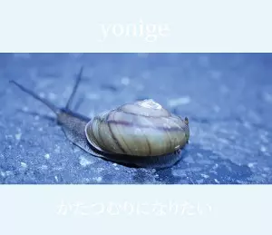 yonige商品一覧｜ディスクユニオン・オンラインショップ｜diskunion.net