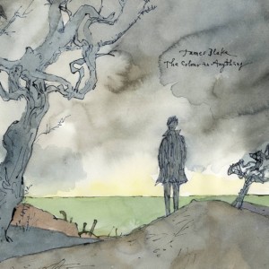 JAMES BLAKE / ジェイムス・ブレイク / COLOUR IN ANYTHING(2LP)