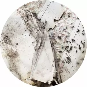 ANDREY ZOTS / SORRY ABOUT THAT