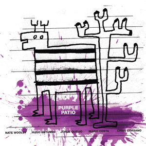 NATE WOOLEY / ネイト・ウーリー / Purple Patio(LP)