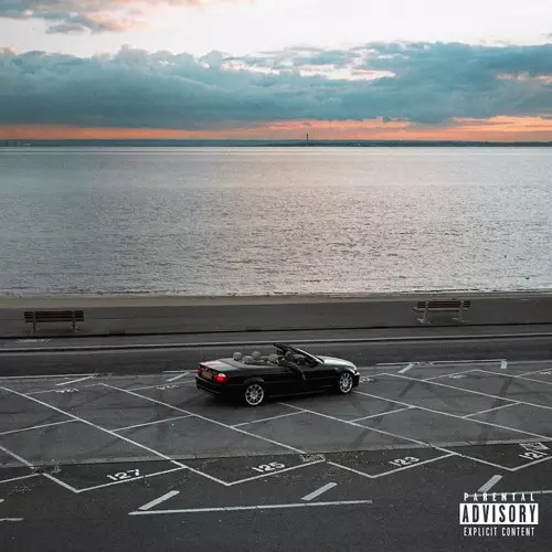 STEVEN JULIEN / スティーヴン・ジュリアン / FALLEN(LP)