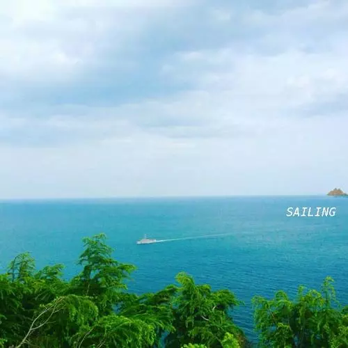 tajima hal / SAILING LP (CD)