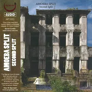 AMOEBA SPLIT / SECOND SPLIT