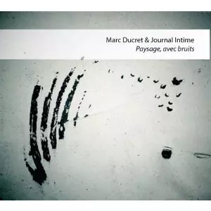 MARC DUCRET / マルク・デュクレ / paysage avec bruits