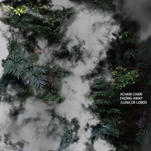 CHARI CHARI / チャリ・チャリ / FADING AWAY / LUNA DE LOBOS