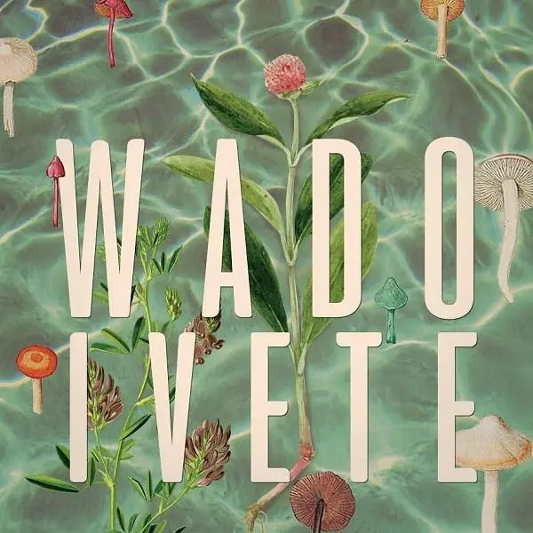 WADO / ヴァド / IVETE