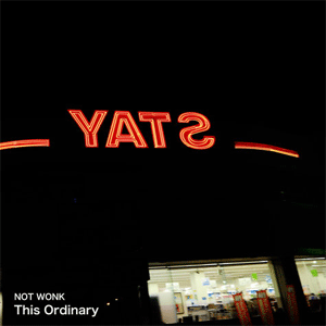 This Ordinary (LP)/NOT WONK/ダウンロードコード付｜PUNK｜ディスク 