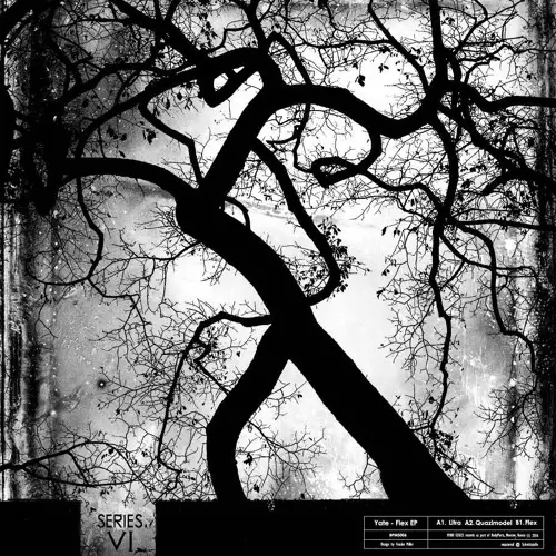 YATE / FLEX EP 