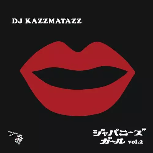 前作VOL.1が大好評だったDJ KAZZMATAZZによる日本の女性ONLY MIXXX