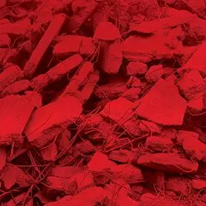 JAM CITY / ジャム・シティー / DREAM A GARDEN(期間限定廉価盤)