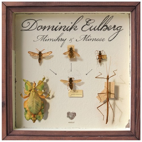 DOMINIK EULBERG / ドミニク・オイルベルク / MIMIKRY & MIMESE EP