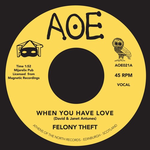 FELONY THEFT / WHEN YOU HAVE LOVE / RUN FOR COVER (7")