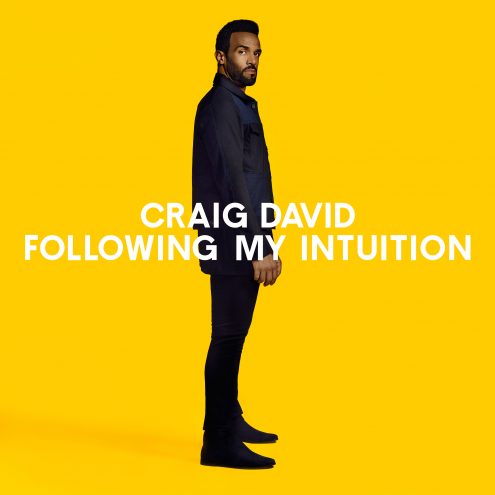 CRAIG DAVID / クレイグ・デイヴィッド / FOLLOWING MY INTUITION