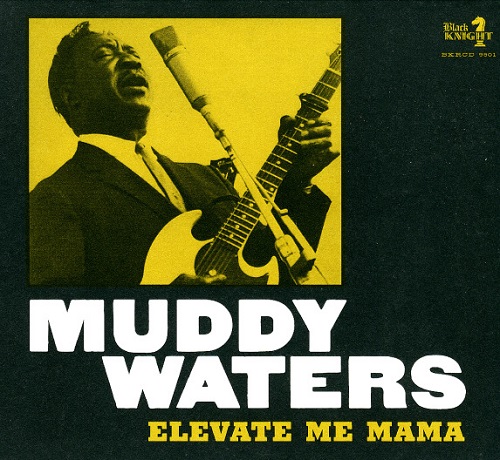 MUDDY WATERS / マディ・ウォーターズ / ELEVATE ME MAMA (LP)