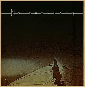 NECROMONKEY / ネクロモンキー / A GLIMPSE OF POSSIBLE ENDINGS - 180g LIMITED VINYL