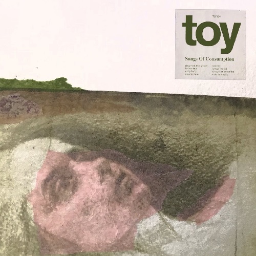 TOY / トーイ / SONGS OF CONSUMPTION (LP)