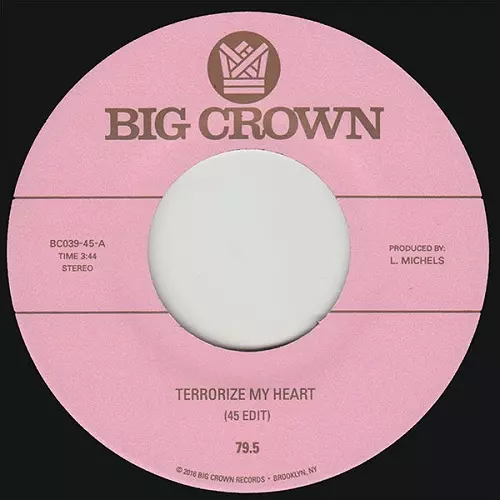 79.5 / TERRORIZE MY HEART (7")