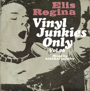 VINYL JUNKIES(JPN)商品一覧｜DU BOOKS｜ディスクユニオンの出版部門