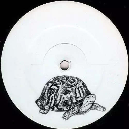 ALEKSANDIR / TURTLE NIPPER