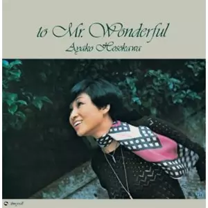 AYAKO HOSOKAWA / 細川綾子 / MR. WONDERFUL / ミスター・ワンダフル