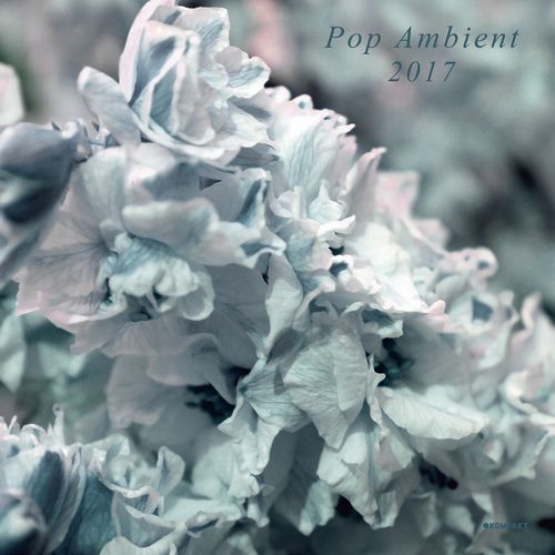 V.A.(POP AMBIENT) / POP AMBIENT 2017