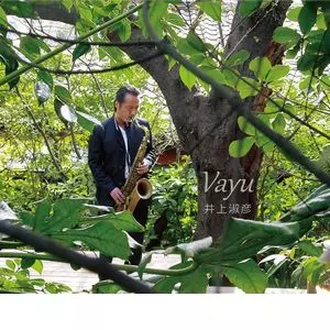 TOSHIHIKO INOUE / 井上淑彦 / Vayu / ヴァーユ