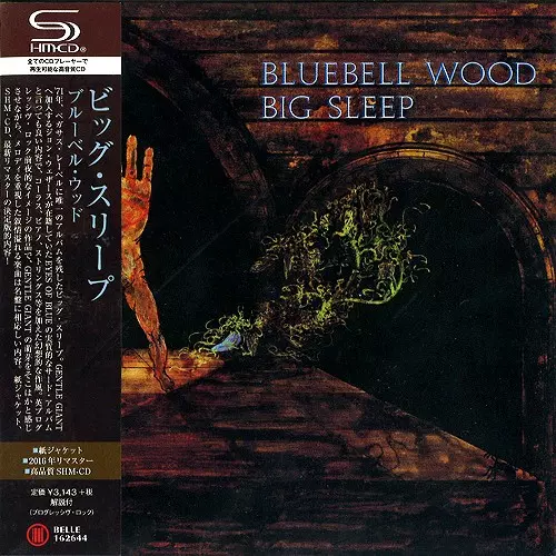 BIG SLEEP / ビッグ・スリープ / ブルーベル・ウッド - リマスター/SHM-CD