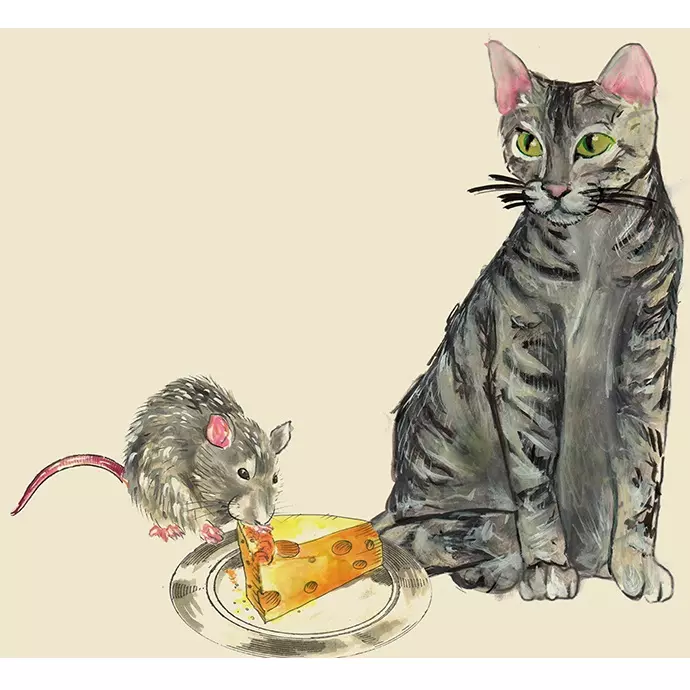 ODAIR JOSE / オダイール・ジョゼ / GATOS E RATOS