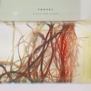 yahyel「HUMAN」レコード ヤイエル、待望の2ndアルバム『Human』完成｜HMV&BOOKS online