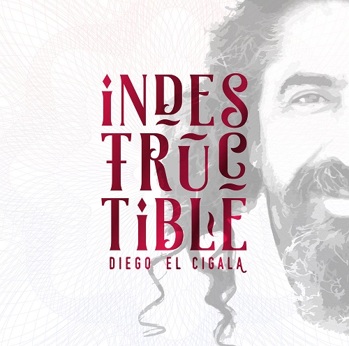 DIEGO EL CIGALA / ディエゴ・エル・シガーラ / INDESTRUCTIBLE