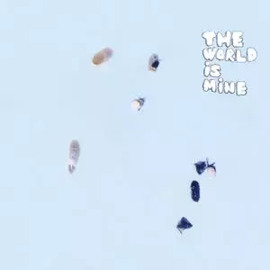 くるりTHE WORLD IS MINE レコード盤　LP くるり – The World Is Mine – 2 x Vinyl (LP, Album, Reissue