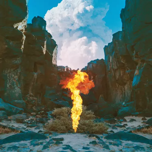 BONOBO / ボノボ / Migration