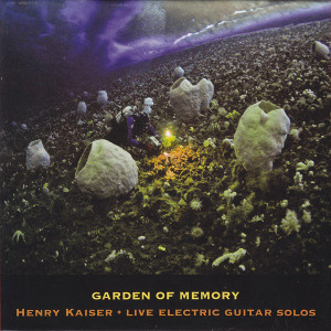 HENRY KAISER / ヘンリー・カイザー / Garden Of Memory(4CD)