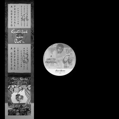 セオパリッシュ Sound Signature レコード 2枚組 Amazon.co.jp: サウンド・シグネチャー・サウンズ: ミュージック