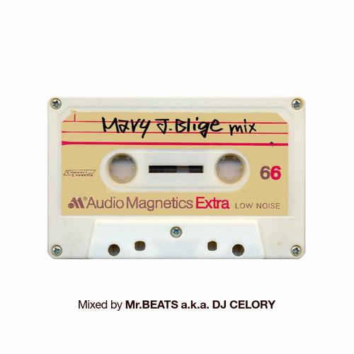 MR.BEATS aka DJ CELORY / ミスタービーツ DJセロリ  / Mary J. Blige Mix 