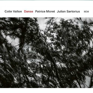 COLIN VALLON / コリン・ヴァロン / Danse(LP/180g)