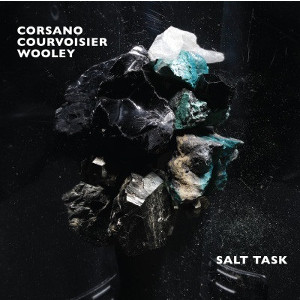 CHRIS COURSANO / クリス・コーサーノ / Salt Task