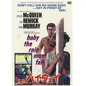 フリービーとビーン 大乱戦【復刻シネマライブラリー】 DVD sddefault.jpg