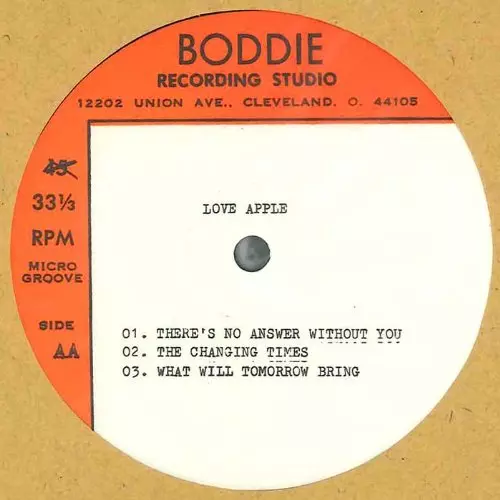 LOVE APPLE (LOU RAGLAND) / ラヴ・アップル商品一覧｜ディスク