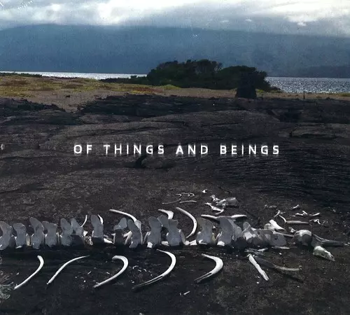 LOST WORLD BAND / ロスト・ワールド・バンド / OF THINGS AND BEINGS