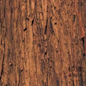坂田学 / 木の奥(アナログ)
