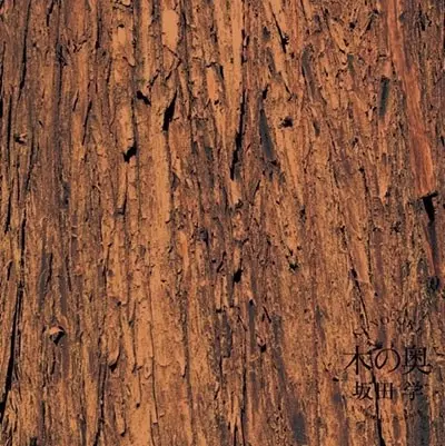 坂田学 / 木の奥