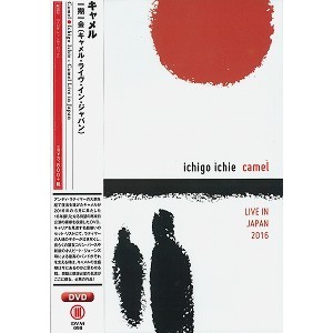 CAMEL / キャメル / ICHIGO ICHIE  / 一期一会