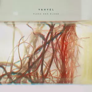 YAHYEL / HUMAN / LP | Record CD Online Shop JET SET